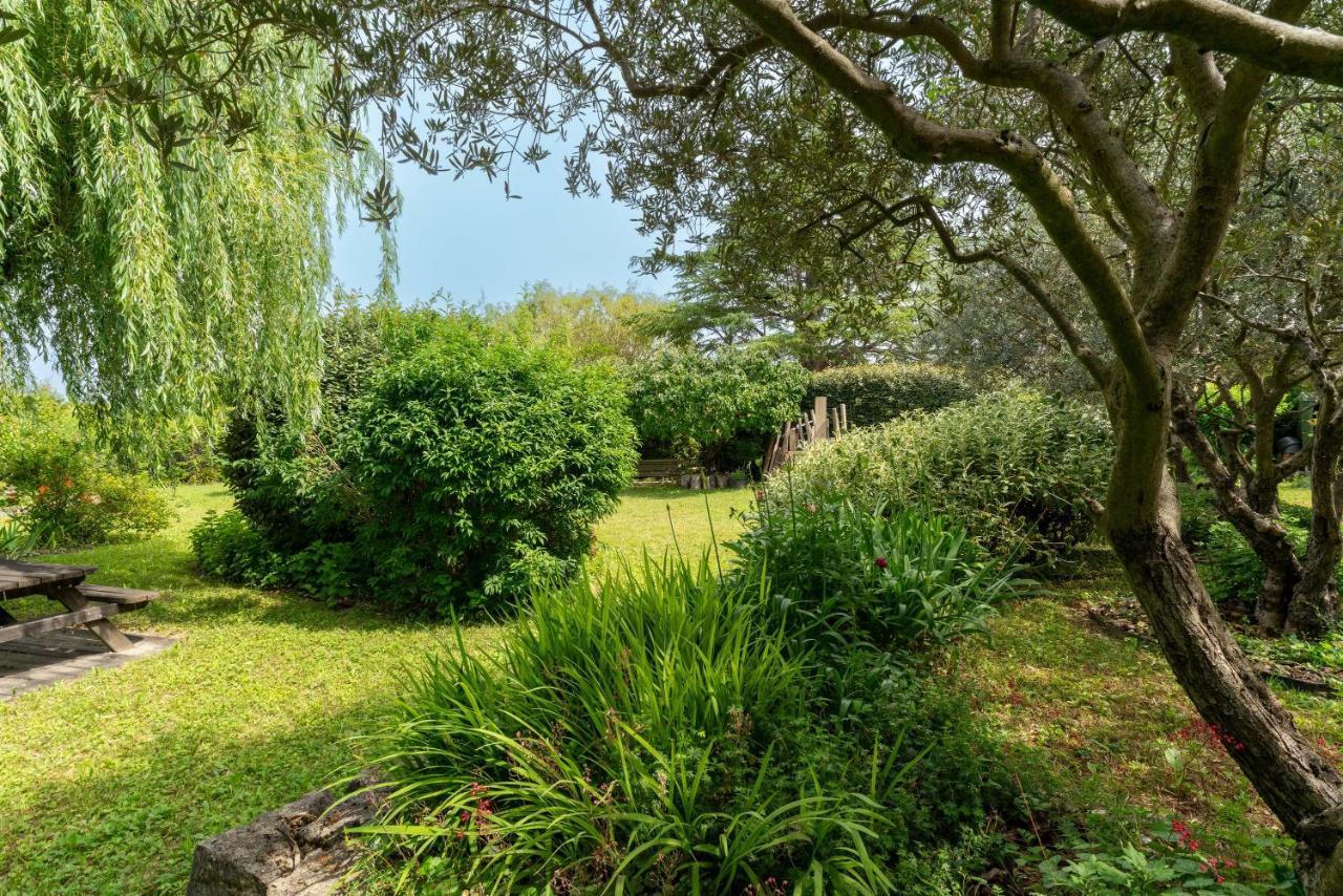 Villa La Mireio มาโลแซน ภายนอก รูปภาพ